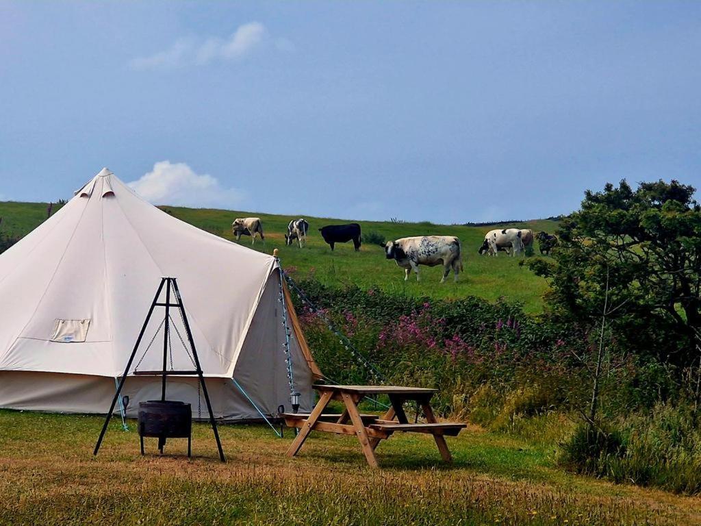 Beautiful 1-Bed Bell Tent In Holyhead Esterno foto